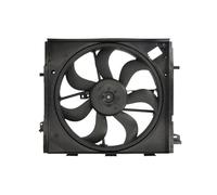 VALEO Ventilateur, Refroidissement du moteur 696873