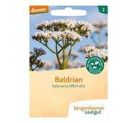 Valériane - Valeriana officinalis Paquet de 2 sachets