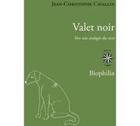 Valet Noir - Vers Une Écologie Du Récit