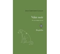Valet noir Vers une écologie du récit - Jean-Christophe Cavallin - Corti - broché - Essai