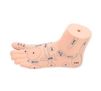 VALICLUD 1 Pièce Modèle de Pied à Acupression pour Réflexologie et Massage Outil Pédagogique pour Étudiants et Écoles de Médecine