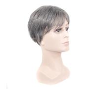 VALICLUD 1 Pièce Perruque Courte Grise Argentée Fibres de Température pour Hommes Stylée pour Usage et Événements Spéciaux