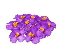 VALICLUD 10 Pièces Fleurs D’Hibiscus Artificielles Pourpre EVA