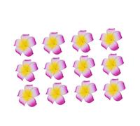 VALICLUD 12Pièces Épingles à Cheveux Plumeria pour Fête Mariage et Bord de Mer Accessoire Boho pour Filles Poudré