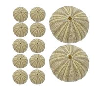 VALICLUD 18pièces Oursins Coquillages pour Décoration Aquarium Kit Bricolage avec Oursins Ornements Naturels pour Aquarium