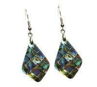VALICLUD 1paire Boucles Oreilles Coquille Ormeau Accessoire Forme De Unique Et Naturel Parfait Pour Toutes Occasions