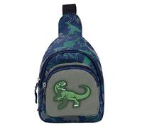 VALICLUD 1pièce Bandoulière Garçon Fille Avec Motif Dinosaure Sacoche Pratique Et Élégante Pour Filles Et Garçons Pour Fêtes Le Shopping Photographie De Rue Résistant Et Confortable