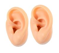 VALICLUD 2 Pièces Accessoires du modèle d'oreille parties du corps de pratique de perçage oreilles partie du corps du modèle en silicone modèle en silicone souple silicone