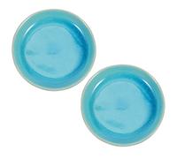 VALICLUD 2 Pièces Plat de massage de gratter soin du visage pied outil multifonction grattoir masseur assiette de gua sha Plaque plat de gua sha céramique Blue