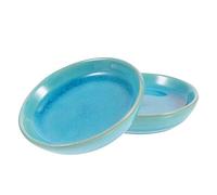 VALICLUD 2 Pièces Plat De Massage De Gratter Soin Du Visage Pied Outil Multifonction Masseur De Corps Outil De Massage Grattoir Assiette Plat à Gratter Gua Sha Plaque Céramique Bleu