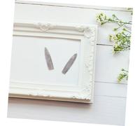 VALICLUD 2 pièces Spécimens Bélemnite Naturelle pour Éducation Paléontologie Géologie Kit Fossiles Scientifique et Décoration