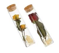 VALICLUD 2pièces Bouteille De Souhait Verre Mini Bouteille De Potion avec Message Séchées