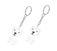 VALICLUD 4pièces Porte-clés Collecteur de Poils Animaux Souvenir Poils de Chien Mémoire Animale Compact pour Propriétaires