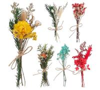 VALICLUD 6 Pièces Mini Bouquet de Fleurs Séchées Naturelles Tiges, Facile à Entretenir et Ne Fanent Pas, Décoration Élégante pour Ferme et Automne, Assortiment de 6 Bouquets