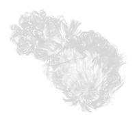 VALICLUD Barbe De Père Noël Perruque Et Accessoires De Déguisement Pour Homme Articles De Noël Pour Fêtes Et Cosplay