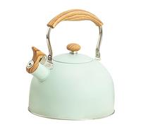 VALICLUD Bouilloire Sifflante 2,5l Poignée Nylon Anti-brûlure Bouilloire à Eau Bouillante En Acier Inoxydable Vert Fonction Alerte Sonore Sécuritaire Pour Hôtel Et Usage Quotidien