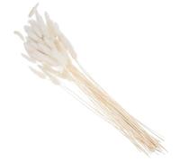 VALICLUD Décoration Naturelle Fleurs Séchées Queue de Lapin Blanche, Herbe Séchée Romantique pour Mariage et Photographie, Bouquet de 60 Pièces pour Chambre