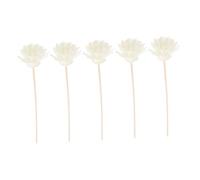VALICLUD Ensemble de 5 Bâtons Diffuseurs Rotin Chrysanthème Naturels Recharges Parfumées pour Huile Essentielle Remplacement pour Diffuseur de Fragrances
