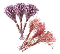 VALICLUD Lot de 6 Mini Bouquets de Fleurs Séchées Gypsophile Naturelles 3 Pcs Violet 3 Pcs Rose Foncé Hauteur 12 CM Décoration Mariage Ornement Maison et Accessoires Photo