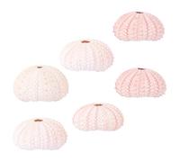 VALICLUD Lot de 6 Pots Fleurs d'Oursin pour Plantes Aériennes Décoration Intérieure Créative en Coquillage Taille Petite Couleur Aléatoire Bureau et Maison Aléatoire