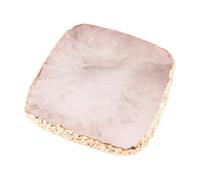 VALICLUD Palette de Manucure sur Ongle Présentoir à Ongles pour Nail Art Palette de Couleurs Plateau de Manucure