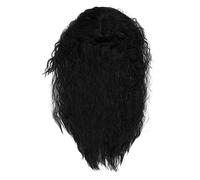 VALICLUD Perruque Afro Bouclée Chic Pour Femmes Accessoire Cheveux Frisés Noirs Idéale Pour Cosplay Fêtes Et Occasions Spéciales