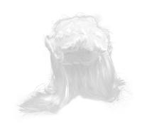 VALICLUD Perruque Blanche de Juge pour Homme Cosplay Déguisement Perruque Bouclée Coiffe Avocat Accessoire de Scène