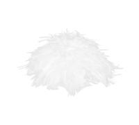 VALICLUD Perruque Bouclée Et Frisée Blanche Pour Cosplay Soirée Perruque De Déguisement De Physicien Pour Événement Costumé