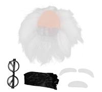 VALICLUD Perruque De Vieil Homme Lunettes De Scientifique Moustache Sourcils De Déguisement Pour Cosplay Halloween
