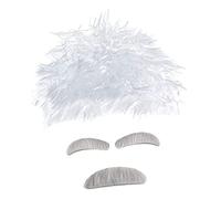 VALICLUD Perücke Wissenschaftler Kostümset Avec Moustache Et Sourcils Pour Cosplay Halloween Coiffure Blanche Folle De