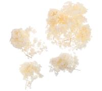 VALICLUD Pétales de Fleurs Séchées Beige pour Mariage, Hydrangea Naturel, Conserve Douceur et Couleur Vive, Décor Vintage Élégant pour Centre de Table et Confettis