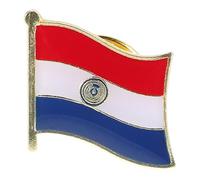 VALICLUD Pin Émaillé Nation Paraguayenne Accessoire Patriotique Pour Événements Commémoratifs Vêtements Sacs Et Chapeaux Pour Fête De Indépendance Memorial Day