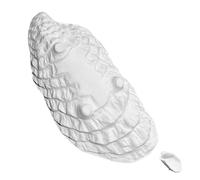 VALICLUD Plats à Bouillon Profond Assiettes Cuisine Organisateur de Collations Assiette Coquilles Huitres Blanc Pur Plateau pour Fruits de Mer et Service en Céramique