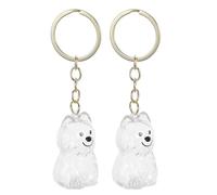VALICLUD Porte-Clés Commémoratif pour Poils D’Animal de Compagnie Lot de 2 Pièces Transparent Boîte de Rangement Sécurisée et Compacte pour Souvenir Chien West Highland Ornement