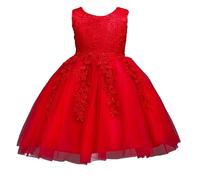 Valin Robe Fille sans Manches Tulle Dentelle Mariage,1-8 Ans | appliqué dentelle délicat,nœud net dos,fermeture cachée,jupe évasée douce,mariage,concours,rassemblement