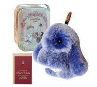 VALINK Porte-clés lapin mignon et moelleux, porte-clés avec boîte en fer et carte cadeau, porte-clés pour femme, ensemble de porte-clés lapin crème bleu roi