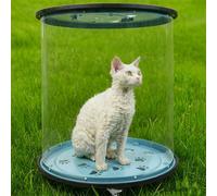 Valise de transport transparente et entièrement respirante pour chat et chien de petite et moyenne taille avec roulettes pour voyage pour animaux de compagnie, plusieurs options de transport, pour