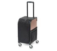 Valise table Rollercoaster Rose