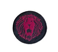 VALKYNEA Patch 100 % brodé Anime Fan Art / 7 péchés capitaux Scanner/Patch EMBROIDERY (thermocollant)