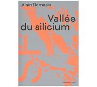 Vallée Du Silicium