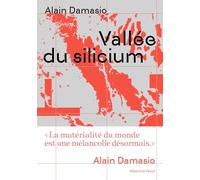Vallée du silicium