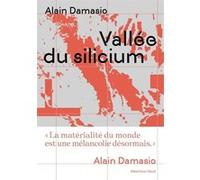 Vallée du silicium Alain Damasio (Auteur)