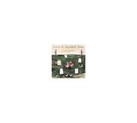 The Felice Brothers – Valley Of Abandoned Songs – Vinyle 12"