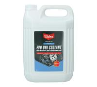 Valma Antigel Liquide de refroidissement W58