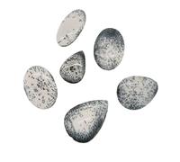 Valmoni Sport Cabochon en Merlinite Pierre Magique Cristal Blanc Noir Minéral Opale Dendrytique