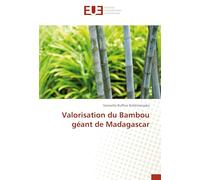 Valorisation du Bambou geant de Madagascar