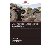 Valorisation Énergétique Des Déchets