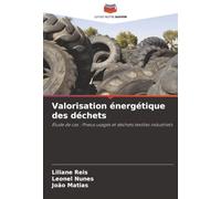 Valorisation énergétique des déchets: Étude de cas : Pneus usagés et déchets textiles industriels