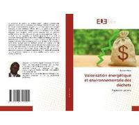 Valorisation Énergétique Et Environnementale Des Déchets