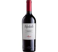 Valpolicella Classico 2025 - Allegrini